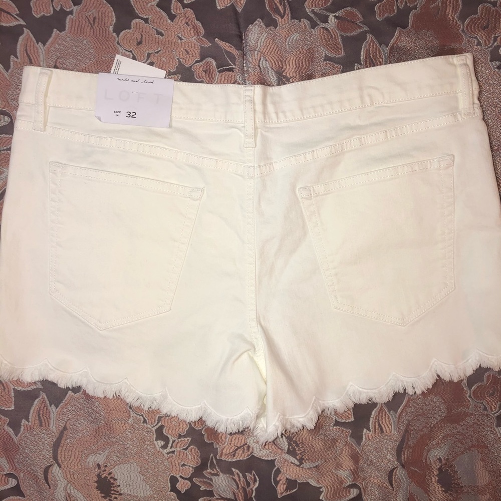NWT Loft Scalloped Frayed White Denim Shorts - Picture 5 of 5